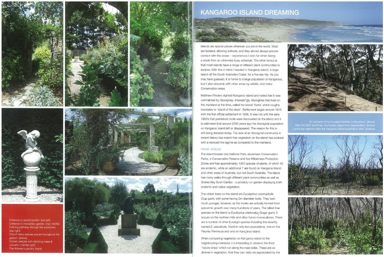 Public Open Space Design